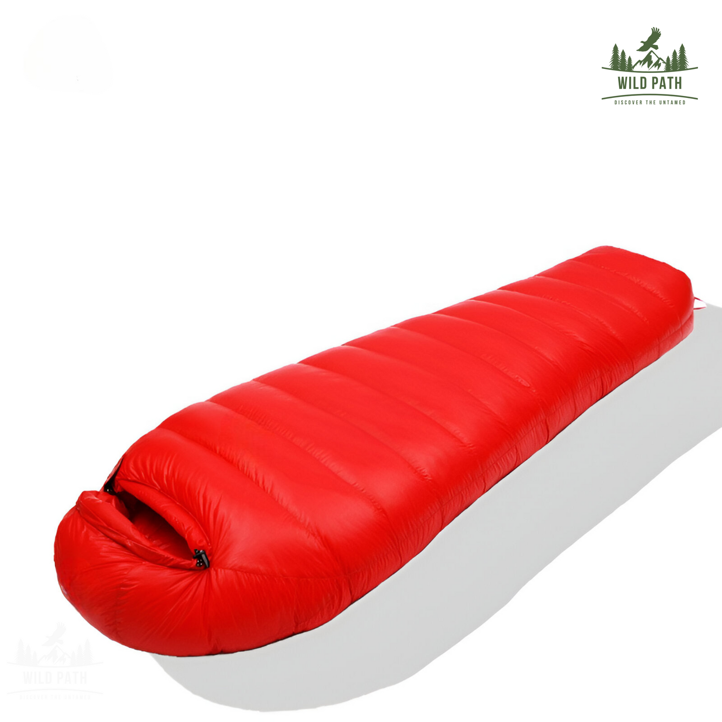Sac de Couchage Momie Ultra-Isolant -10°C (1,5kg, 1kg de duvet, tissu 400T)