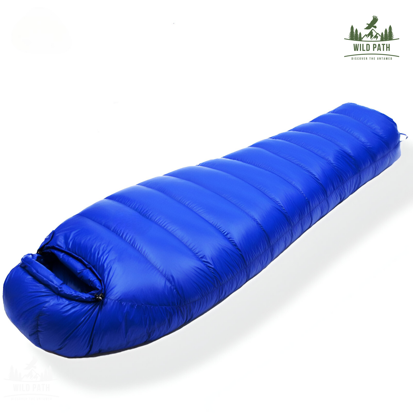 Sac de Couchage Momie Ultra-Isolant -10°C (1,5kg, 1kg de duvet, tissu 400T)